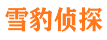 灵川婚外情调查取证